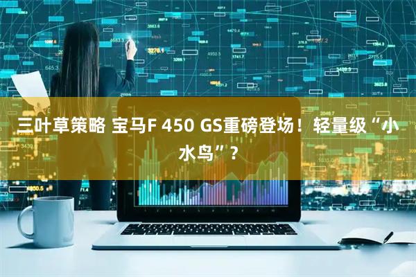 三叶草策略 宝马F 450 GS重磅登场！轻量级“小水鸟”？