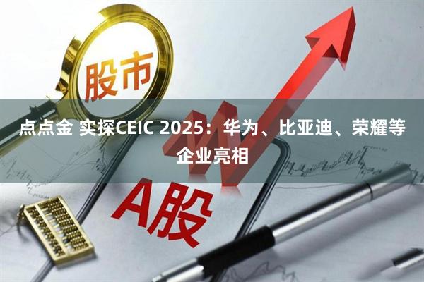 点点金 实探CEIC 2025：华为、比亚迪、荣耀等企业亮相